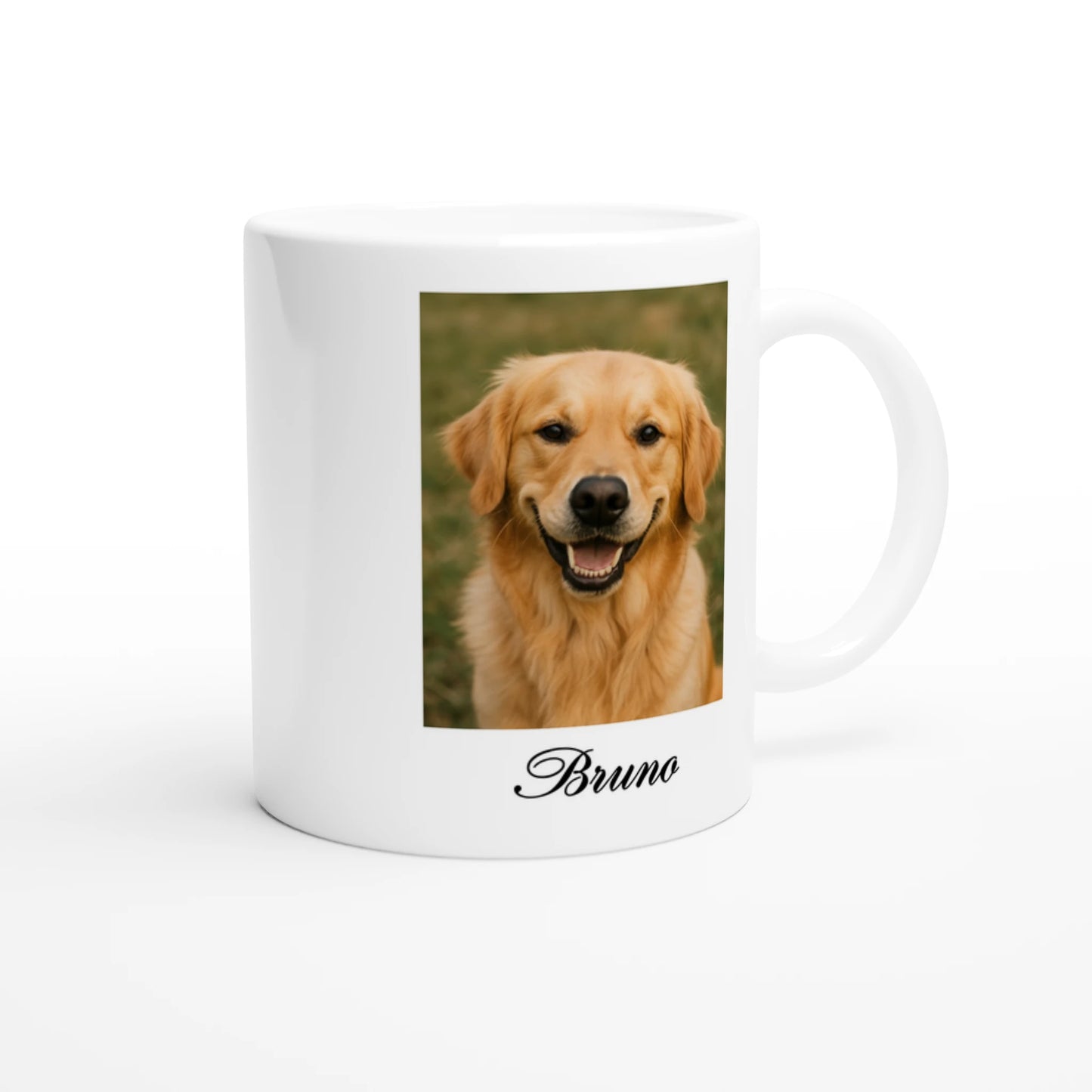 5578bbe7-a526-4951-83b8-dde5ea329c2f