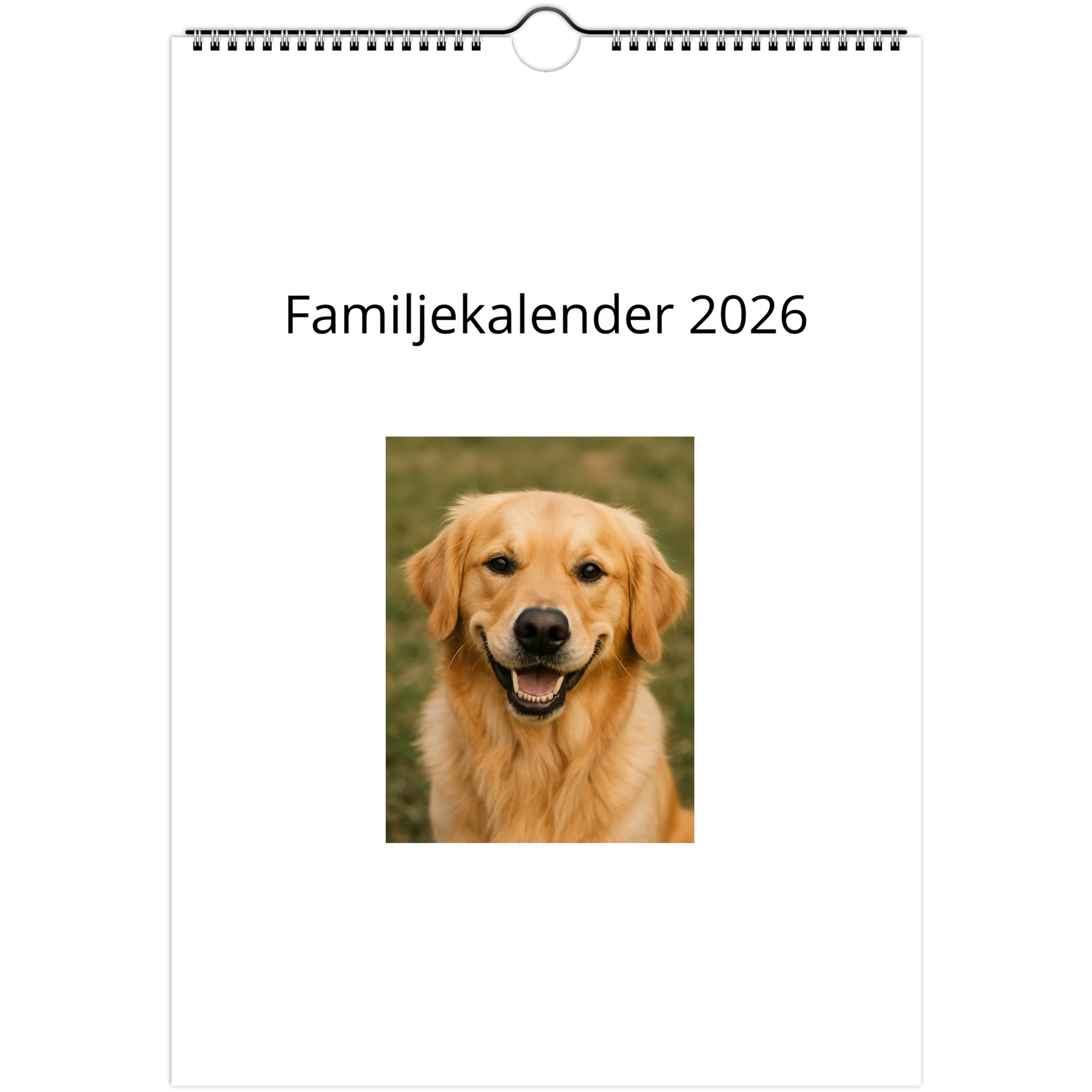 9ed30ff4-0c64-4c87-85d0-94b874bd7df4